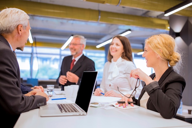 Senior businessman with laptop sitting together with colleague in the office