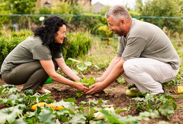 Senior couple caring the crops