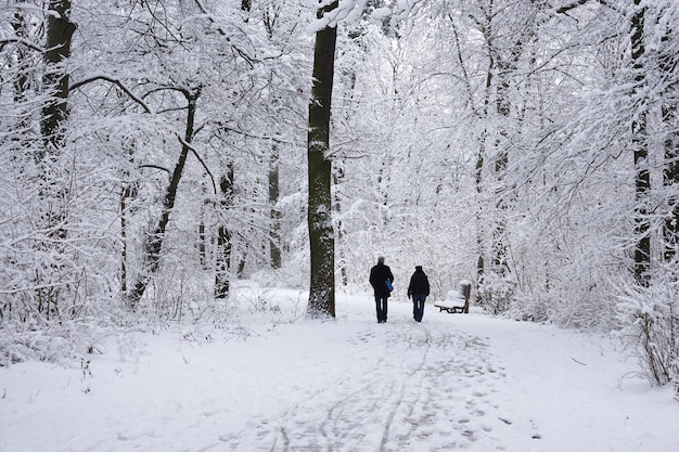 Старшая пара гуляет в зимнем парке