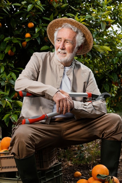 オレンジを栽培している年配の男性