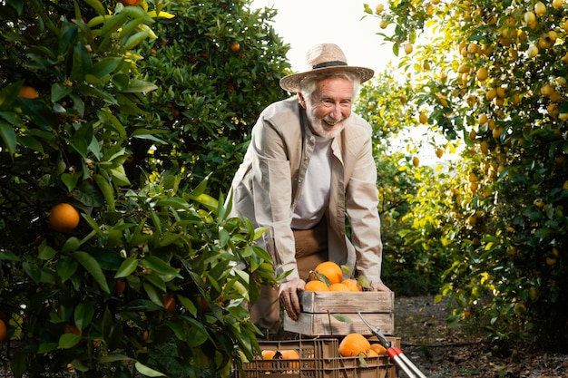 Бесплатное фото Старший мужчина на плантации апельсиновых деревьев