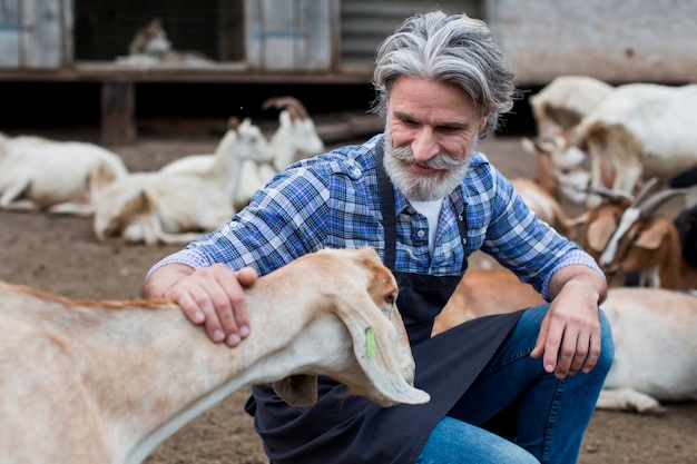 Senior man playing with goats