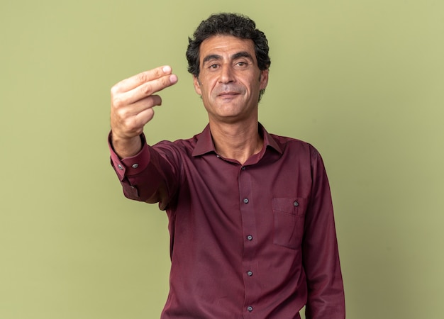 Senior man in purple shirt looking at camera smiling confident showing two fingers standing over green