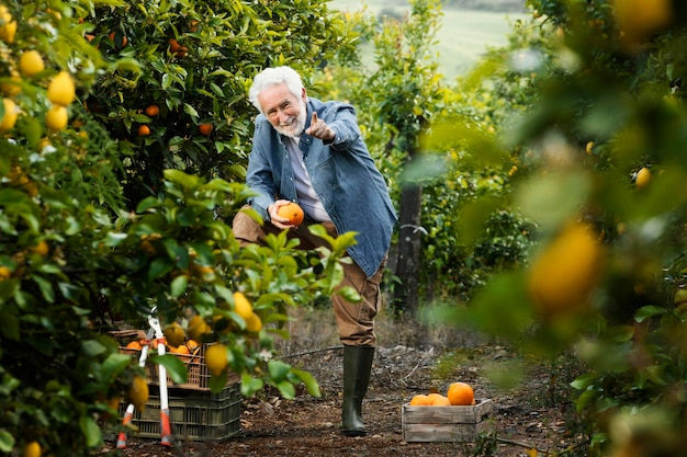 Senior man standing next to his orange trees