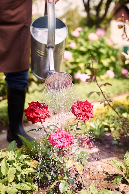 Senior man working in the field with flowers