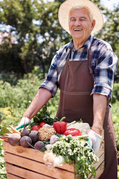 Senior man working in the field with fruits