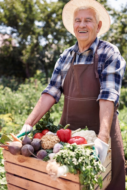 Senior man working in the field with fruits