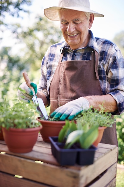 Senior man working in the field with plants