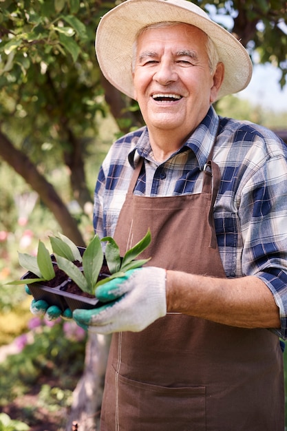 Senior man working in the field with plants