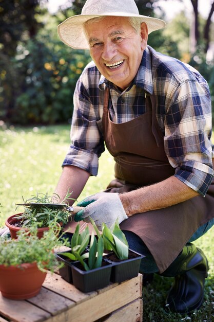 Старший мужчина, работающий в поле с растениями