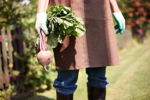 野菜と一緒に畑で働く年配の男性