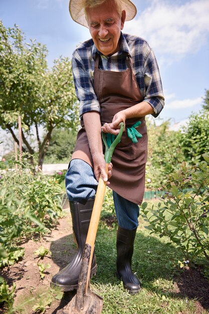 Senior man working in the field