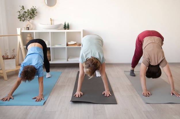 Senior women doing exercises at home together