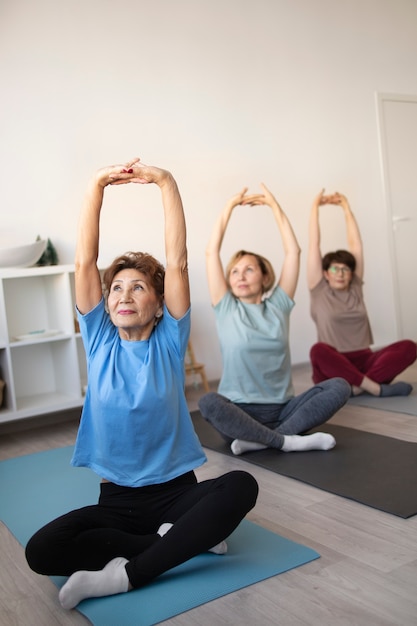 Senior women doing fitness together at home