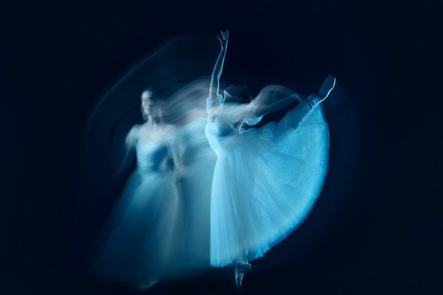 Free photo a sensual and emotional dance of beautiful ballerina through the veil