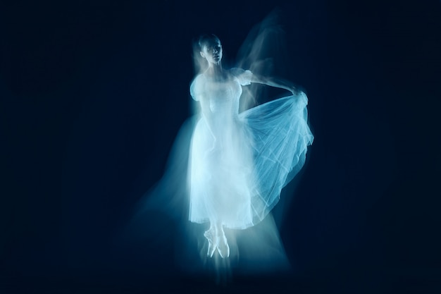 Free photo a sensual and emotional dance of beautiful ballerina through the veil