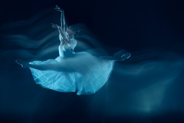 Free photo a sensual and emotional dance of beautiful ballerina through the veil