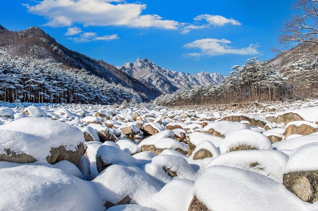 Seoraksan mountains is covered by snow in winter, South Korea