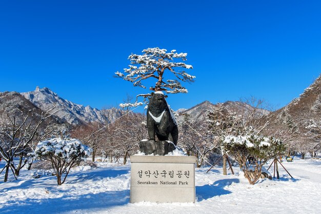 겨울의 설악산 국립 공원 강원도, 한국