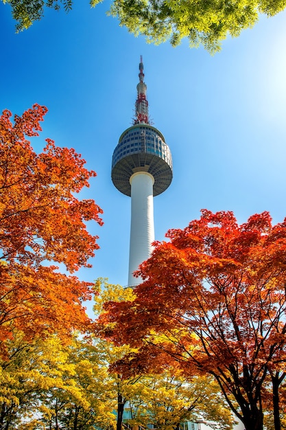 無料写真 韓国の南山にあるソウルタワーと赤い紅葉のカエデの葉