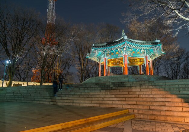 Сеульская башня Красивая традиционная архитектура, гора Намсан в Корее - увеличение цвета Обработка