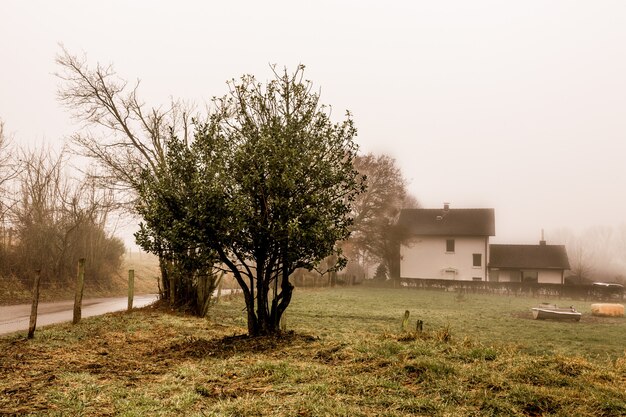 Sepia colored shot of trees, white house with fog in the background