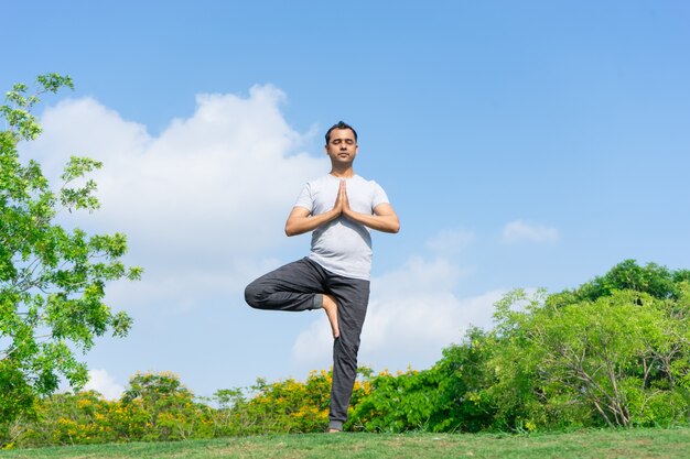 Serene Indian man standing in tree yoga pose in park with green bushes 