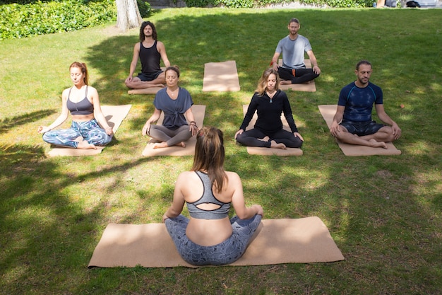 Free photo serene peaceful people meditating in park