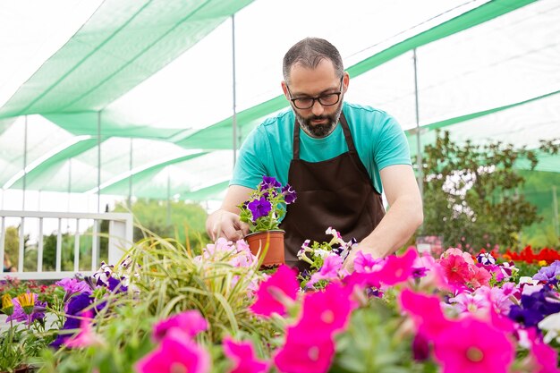 市場に向けて花の植物を準備している深刻なひげを生やした庭師