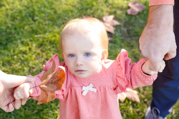 Serious infant looking at front and holding parents hands and dried maple leaf