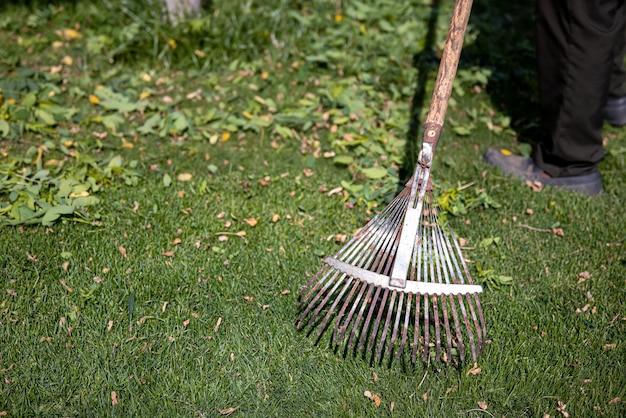 Free photo serrated metal rake for garden cleaning