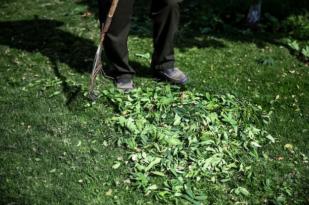 Free photo serrated metal rake for garden cleaning