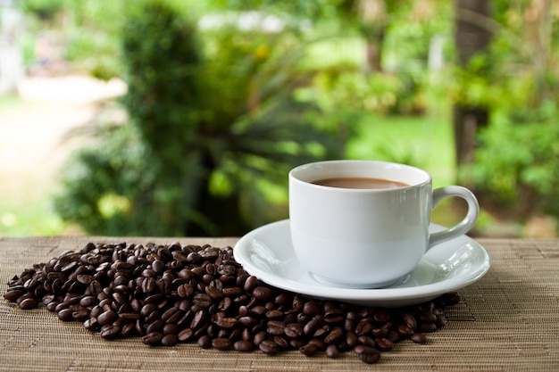 Service seed stuffed porcelain coffee seed