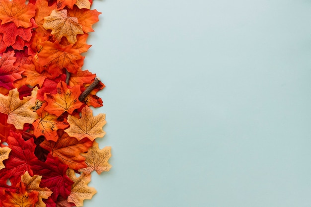 Set of autumn leaves in border