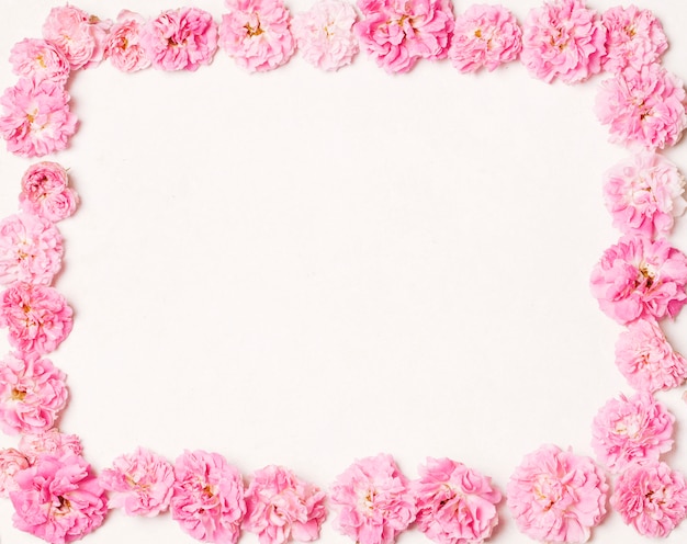 Foto gratuita set di bellissimi fiori rosa