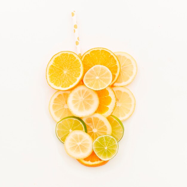 Set of citrus fruit slices on white background