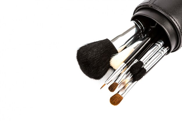 Set of cosmetic paint brush for makeup