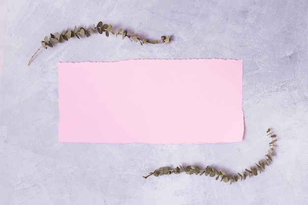 Set of dry plants and paper