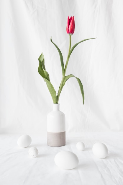 Набор пасхальных яиц возле красного цветка в вазе