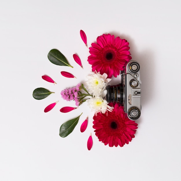 Set of flowers, foliage and vintage camera