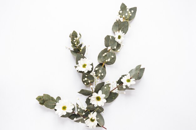 Set of fresh blooms with green leaves on twigs