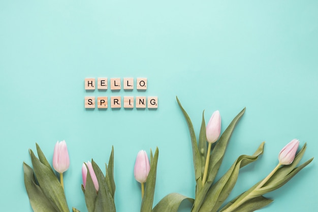 Free photo set of fresh tulips with green leaves and hello spring words