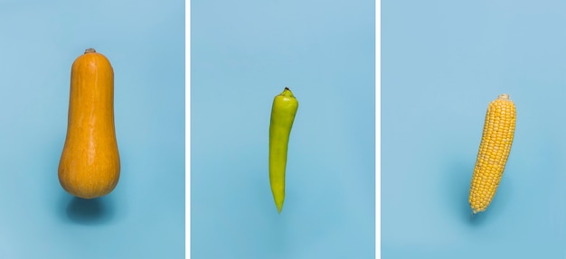 Set of fresh vegetables on blue background