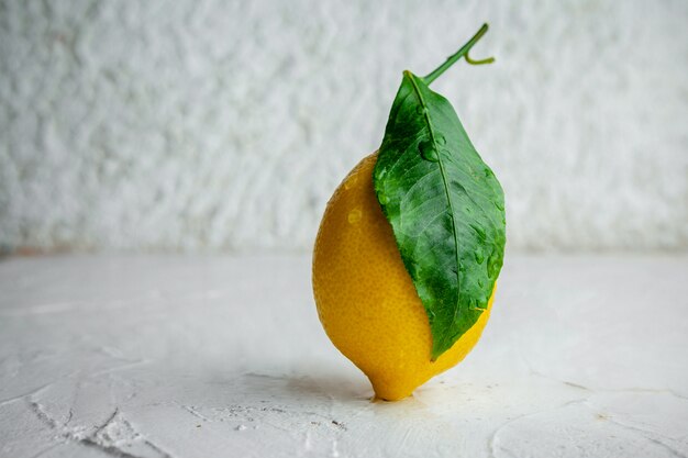 Set of its leaf and lemon on a white textured background. side view. space for text