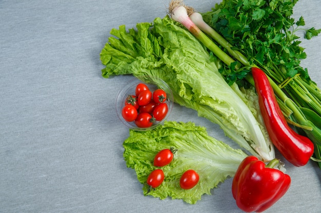 Set of lettuce, greens, peppers and cherry tomatoes in a saucer on gray. top view.