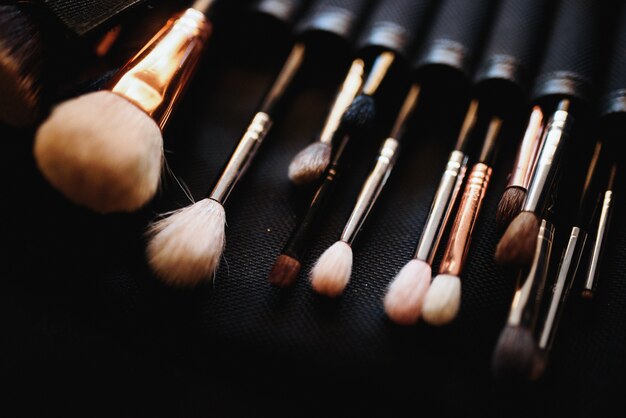 Set of make-up brushes lies on the table