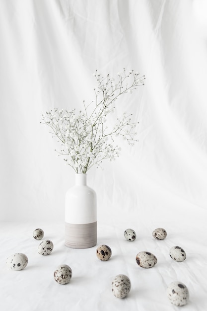 Бесплатное фото Набор пасхальных перепелиных яиц возле веток растений в вазе