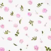 Foto gratuita set di fiori rosa e foglie verdi