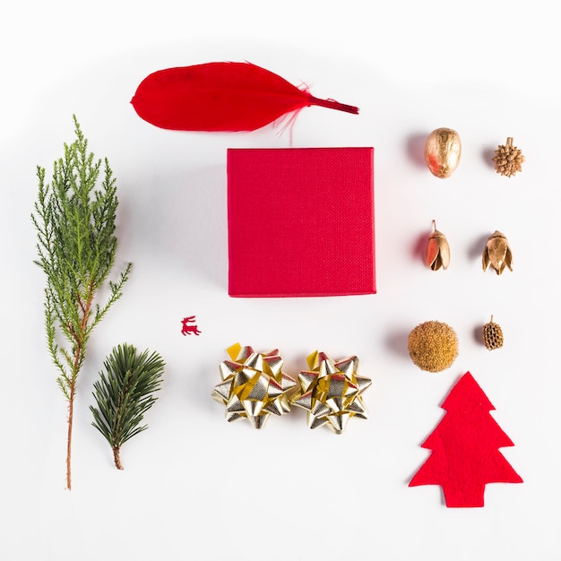 Set of present box, quill, acorns and coniferous twigs