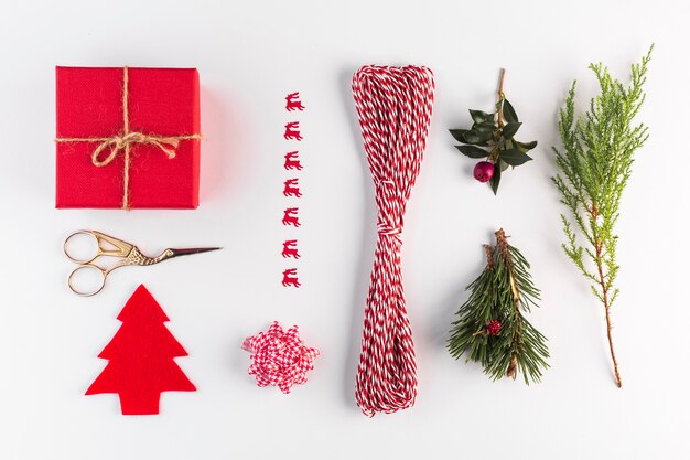 Set of present box, twist, flower and coniferous twigs